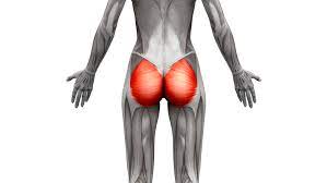 Help! I Can't Feel My Glutes!